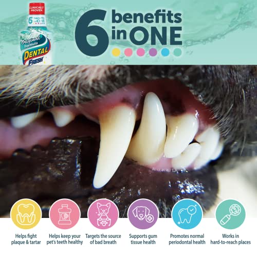 Dental Fresh Water Additive for Dogs, Original Formula, 17oz Dog
