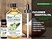 Biofinest Cucumber Seed Essential Oil - 100% Pure Undiluted, Premium Organic, Therapeutic Grade - Best for Aromatherapy, Skin Care, Soothe Wounds Cuts Acne Sunburn Wrinkles - Free E-Book (10ml)