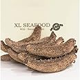 Xlseafood Grade Premium Sun Dried Alaska Sea Cucumber Size Mini 5 year 22-30 pcs per pack 0.5 lb 旭龙行 淡干海参 阿拉斯加野生海参特级品 5年参龄 迷你号 0.5磅 23-35只/份(MINI)