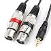 TISINO Dual XLR to 3.5mm Stereo Mic Cable, 2 XLR Female to 1/8 Inch Mini Jack Y-Splitter Breakout Lead Microphone Cord - 5 feet