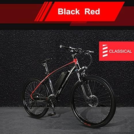 zhengbu electric bike price