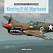 Curtiss P-40 Warhawk: The Famous Flying Tigers Fighter (Legends of Warfare: Aviation) by David Doyle