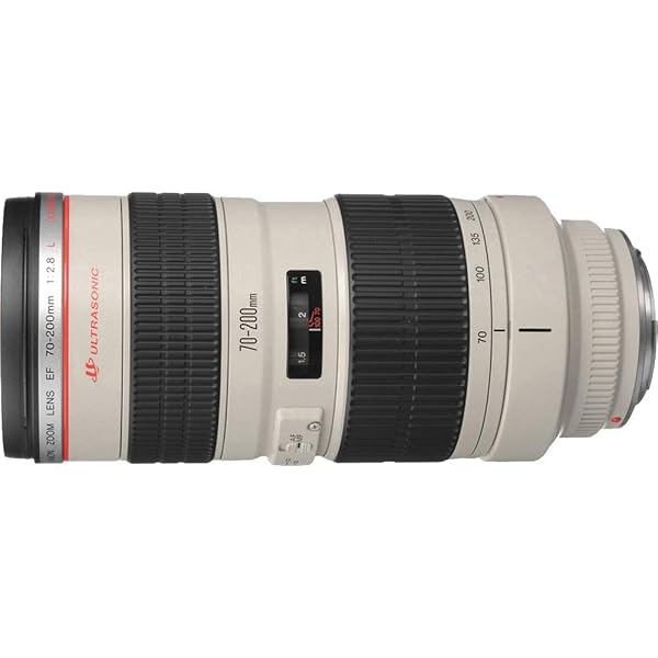Canon EF 70-200mm f/2.8L USM Telephoto Zoom Lens for Canon SLR