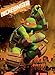 Edge Home Products Teenage Mutant Ninja Turtles Canvas Wall Art, 10 by 13.5-Inch, Michelangelo