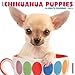 Just Chihuahua Puppies 2017 Wall Calendar (Dog Breed Calendars)