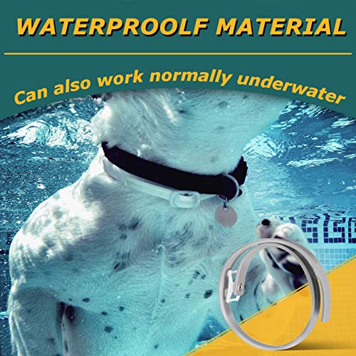 Collar-antipulgas-para-Perros-Collar-antipulgas-de-Seguridad-Natural-para-Perros-Collar-antipulgas-Ajustable-Collar-Impermeable-contra-pulgas-para-Perros-proteccion-de-8-Meses-Talla-unica