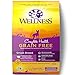 Wellness Complete Health Dry Dog Food, Small Breed, Grain Free, Natural, Turkey, Chicken, & Salmon Recipe (11-Pound Bag)