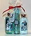 Bath & Body Works ~ Signature Collection ~ Winter 2016 ~ Frosted Coconut Snowball ~ Shower Gel - Fine Fragrance Mist- Body Lotion & PocketBac Sanitizing Hand Gel & PocketBac holder – Gift Bundle