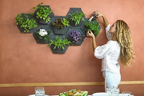 Jardín vertical. Saco Orgánico Mh (30x30x15cm) + Manual para ...