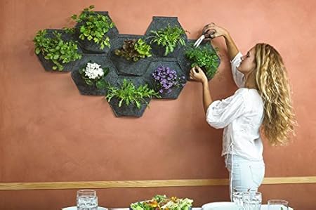 Jardín vertical. Saco Orgánico Mh (30x30x15cm) + Manual para ...