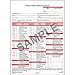 20 Annual Vehicle Inspection Report, 3-Ply, Carbonless