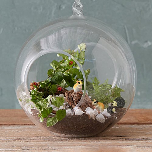 5 PAXCOO+Garden+Miniature+Ornaments+Dollhouse