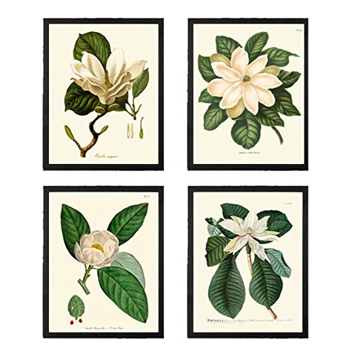 Botanical Wall Art Magnolia Flower Print Set of 4 Prints