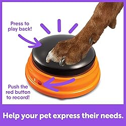 Hunger for Words Talking Pet Starter Set - 4 Piece
