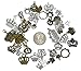 Kinteshun Alloy Multistyle Crown Charm Pendant Connector for DIY Jewelry Making Accessaries(50pcs,Assorted Colors)