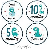 Baby Monthly Milestone Onesie Stickers by Harperlynn (16 Stickers - Dinosaur) - Newborn Photo Prop for Pictures - Great Gift for Parents of Happy Infant Boy or Girl - 4