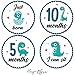 Baby Monthly Milestone Onesie Stickers by Harperlynn (16 Stickers - Dinosaur) - Newborn Photo Prop for Pictures - Great Gift for Parents of Happy Infant Boy or Girl - 4