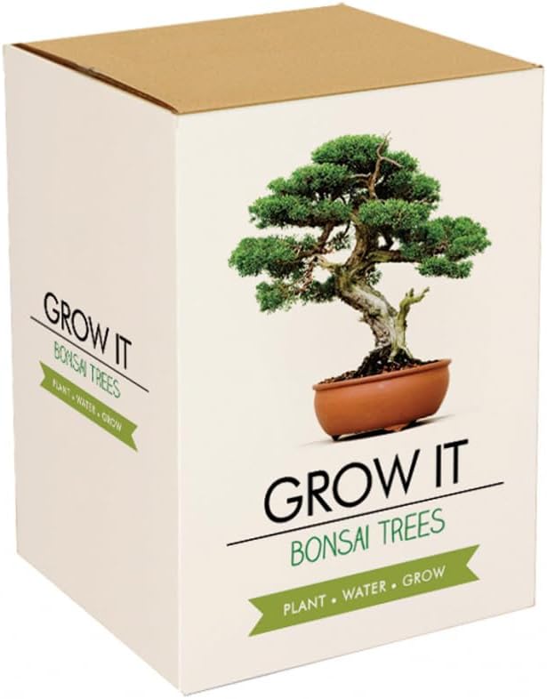 Gift Republic Bonsai Trees Brand New Decor Miniature Indoor Plants