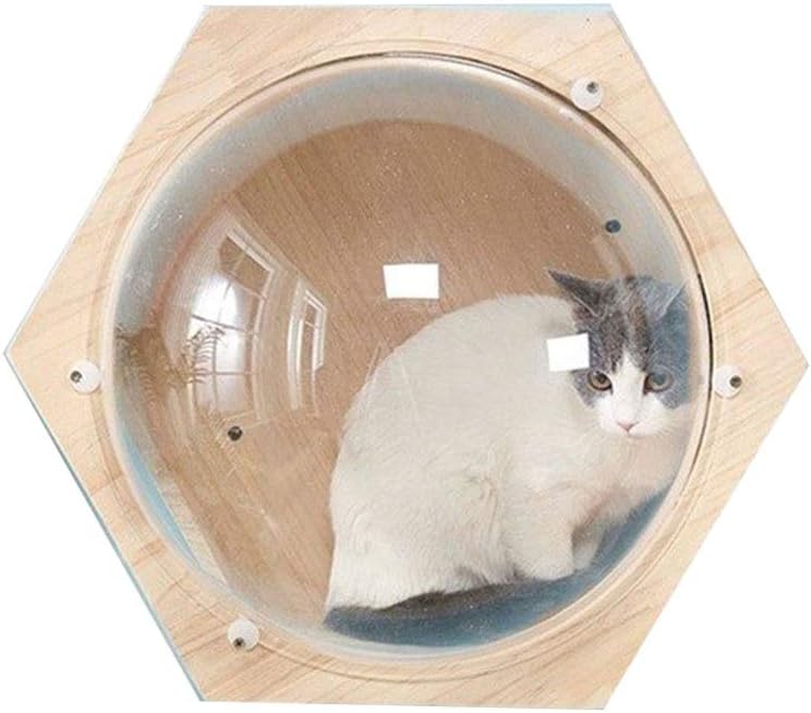 diy cat wall hammock