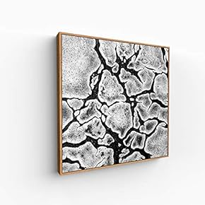 Canvas Wall Art for Living Room, Bedroom Silence Framed Canvas Prints for Home Decoration Ready to Hang - 16x16 inches
