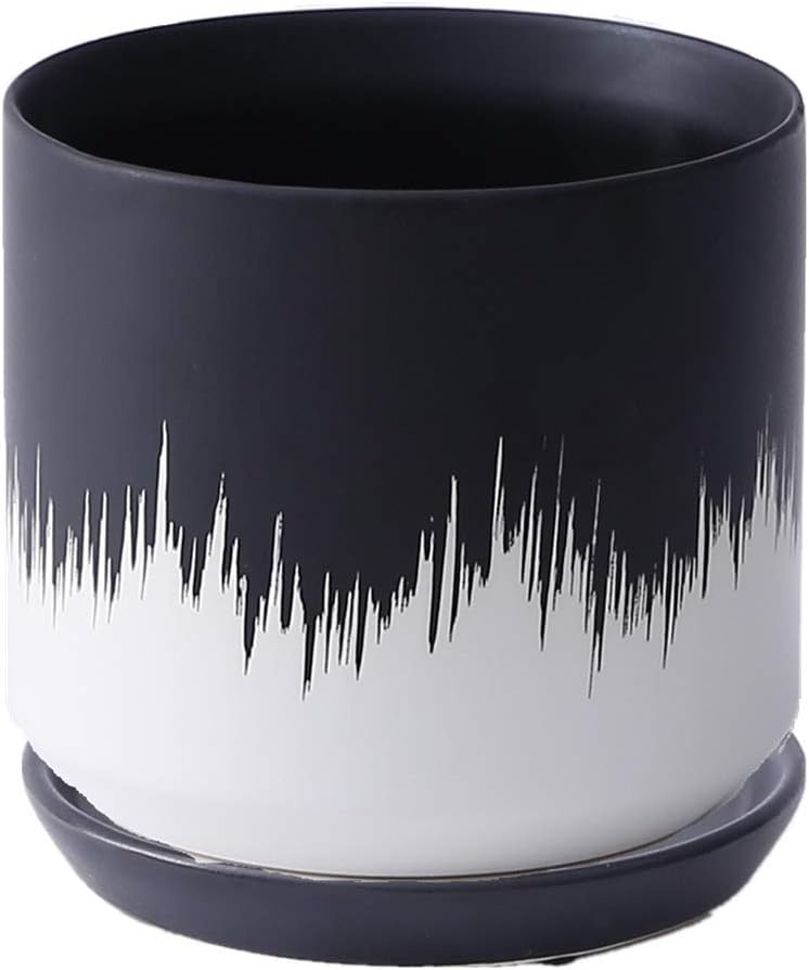 BPTCHP Ceramic Flower Pot Household Indoor Matte Silk Black and White