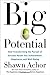 Big Potential: How Transforming the Pursuit of Success Raises Our Achievement, Happiness, and Well-Being - Book by Shawn Achor