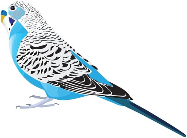 Amazon Co Jp Singleブルーセキセイインコ ビニールデカール屋内または屋外の使用 車 ノートパソコン 飾り Windows And More 6 Inch レッド Bluebudgiesingle6 車 バイク