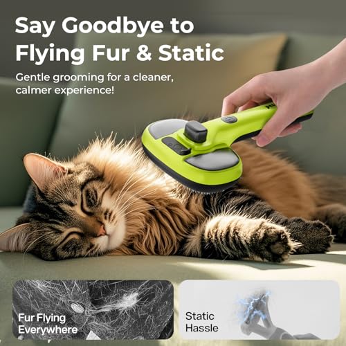 pecute Cat Steam Brush, Dog Steam Brush, Dense Mist and Fine Mist Function, No Heat, One Click Epilation, Long and Short Hair, Visible Water Tank, Green