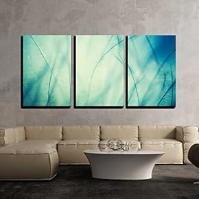 3 Piece Canvas Wall Art - Plumage Background of Bird Closeup - Modern Home Art Stretched and Framed Ready to Hang - 16"x24"x3 Panels