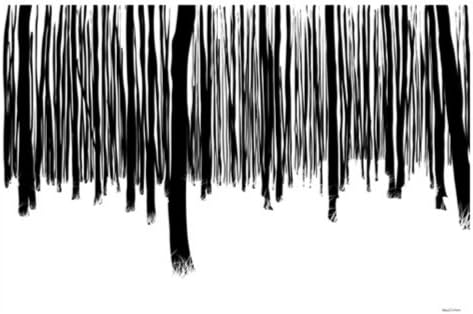 Maxwell Dikson Maxwell Dickson Forest Canvas Art, Black and White, 36W x 24H in.