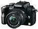 Panasonic GH1