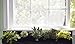 Delectable Garden 5 Pocket Waterproof Hanging Vertical Horizontal Indoor/Outdoor Wall Planter, Herb Garden, Flower Garden, for Yard, Kitchen, Home Decor
