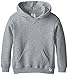 Russell Athletic Boys Dri-Power Fleece and Sweatshirts Athletic Hoodies, Hoodie - Oxford, Large US