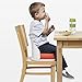 OXO Tot Perch Booster Seat with Straps, Orange