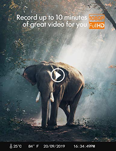 2 APEMAN+Infrared+Wildlife+Monitoring+Surveillance