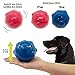 R2P Group Zany Bunch Zany Ball - Wiggling, Jiggling, Electronic Dog Toy