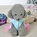haoricu Puppy Clothes, Chiens Velvet Dog Dress Pet Clothes Clothing Small Puppy Winter Warm Coat Custome (M, Blue)