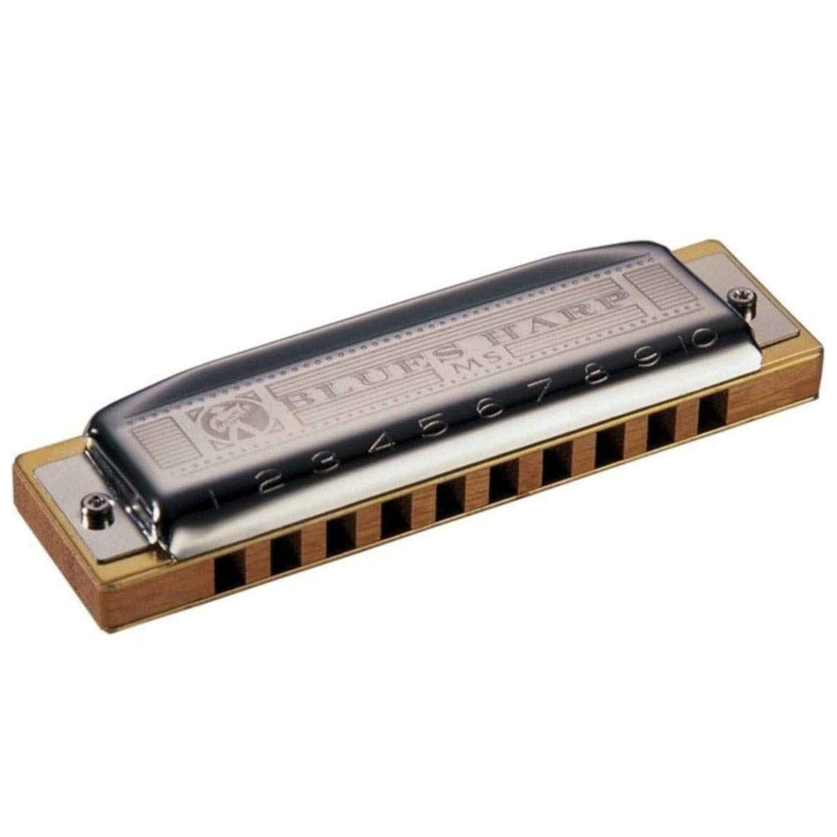 HOHNER BLUES HARP D