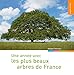 Une année avec les plus beaux arbres de France by 