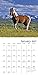 Muhammad Ali 2018 Calendar