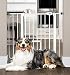 Carlson Extra Wide Walk Through Pet Gate with Small Pet Door, Includes 4-Inch Extension Kit, Pressure Mount Kit and Wall Mount Kit
