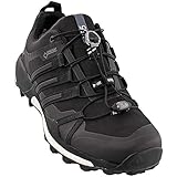 Adidas Terrex Skychaser GTX Shoe - Men's