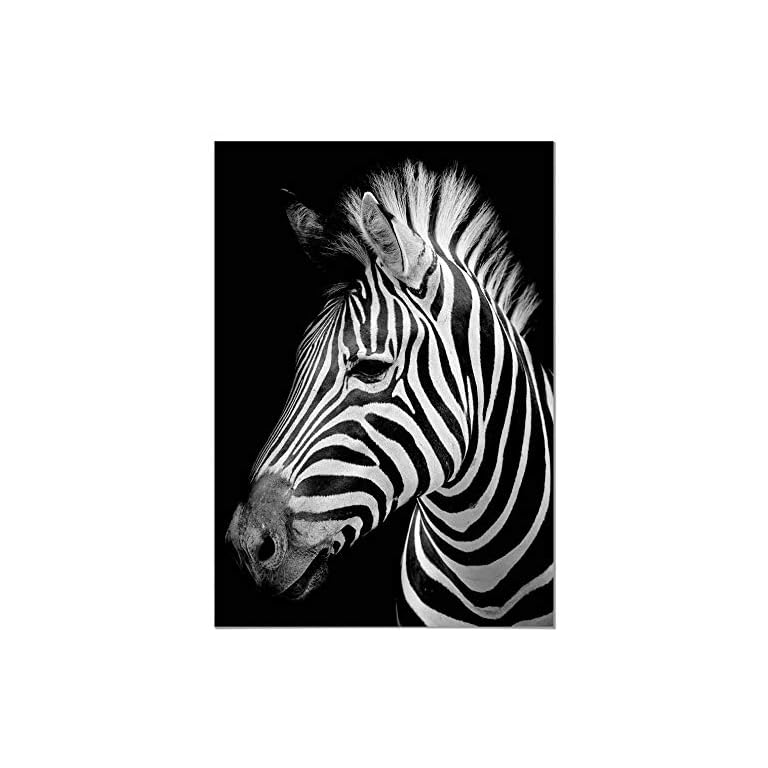 Panorama Lienzo Cebra 70x100cm - Impreso en Lienzo Bastidor - Cuadros