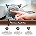 Holistic Select Natural Wet Grain Free Canned Cat Food, Turkey & Salmon Pâté Recipe, 13-Ounce Can (Pack Of 12)