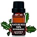 Nature Hue - Wintergreen Essential Oil 10 ml, 100% Pure Therapeutic Grade, Undiluted