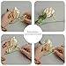 YILIYAJIA Artificial Rose Fake Vines Silk Spring Flowers Rose Garlands Hanging Rose Ivy Plants for Wedding Home Office Arch Arrangement Decoration 4PCS(28.16 FT)(Beige)