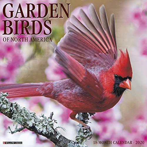 [EBOOK] Garden Birds 2020 Wall Calendar TXT