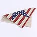 Vintage Style American Flag the Stars and the Stripes Throw Pillow Case, Pillowcase (Big Star)