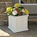 Mayne Cape Cod 14-Inch Square Planter – Self-Watering, Weather-Resistant Planter for Flowers – Durable Outdoor Design for Patio, Porch, or Entryway