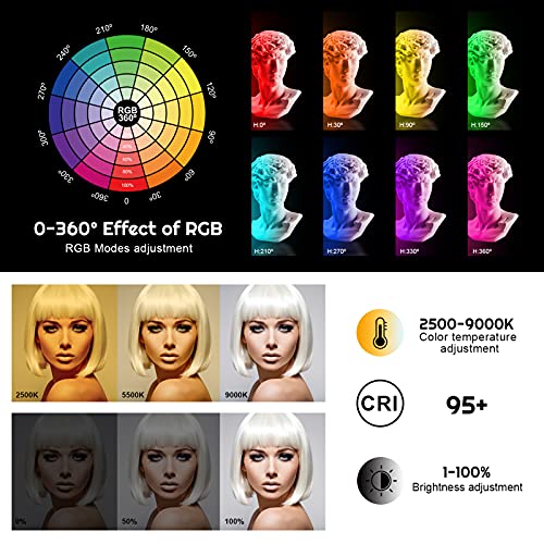 Weilisi Camera Light with Breathing Light Mode,2500mAh RGB Video Light with Action Camera Mount,Light for Camera with Hot Shoe Mount,Stepless Dimming,Powerful Magnetic,OLED Display